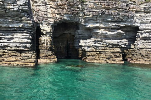 Jervis Bay Passage Tour - Mackay Tourism 13