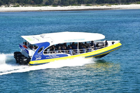 Jervis Bay Passage Tour - Mackay Tourism 11