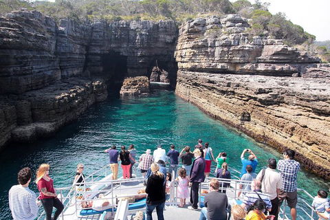 Jervis Bay Passage Tour - Mackay Tourism 3