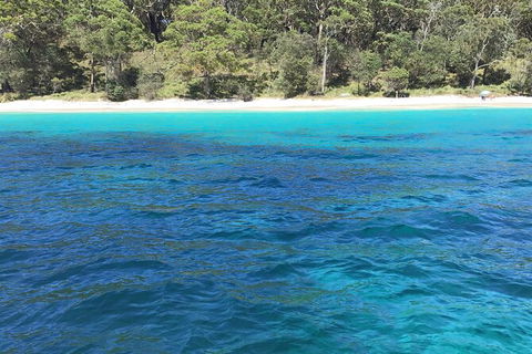 Jervis Bay Passage Tour - Mackay Tourism 5