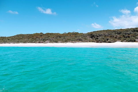 Jervis Bay Passage Tour - Mackay Tourism 10