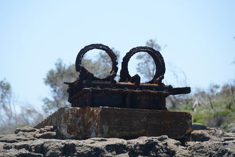 Jervis Bay Passage Tour - Mackay Tourism 4