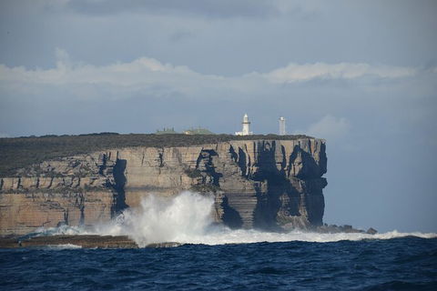 Jervis Bay Passage Tour - Mackay Tourism 8