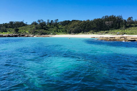 Jervis Bay Passage Tour - Mackay Tourism 2