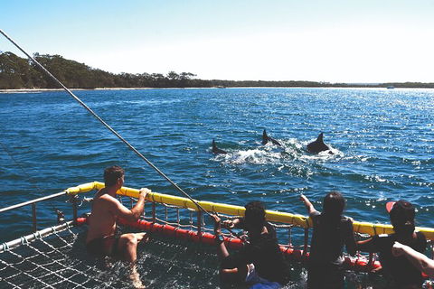 Jervis Bay Boom Netting And Dolphins Tour - Mackay Tourism 2