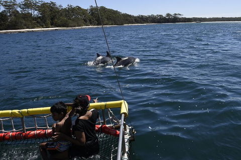 Jervis Bay Boom Netting And Dolphins Tour - Mackay Tourism 6