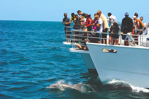 Jervis Bay Boom Netting And Dolphins Tour - Mackay Tourism 10