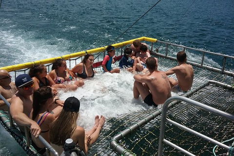 Jervis Bay Boom Netting And Dolphins Tour - Mackay Tourism 4