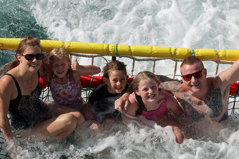 Jervis Bay Boom Netting And Dolphins Tour - Mackay Tourism 11