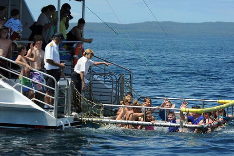 Jervis Bay Boom Netting And Dolphins Tour - Mackay Tourism 5