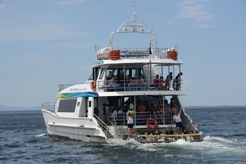 Jervis Bay Boom Netting And Dolphins Tour - Mackay Tourism 12