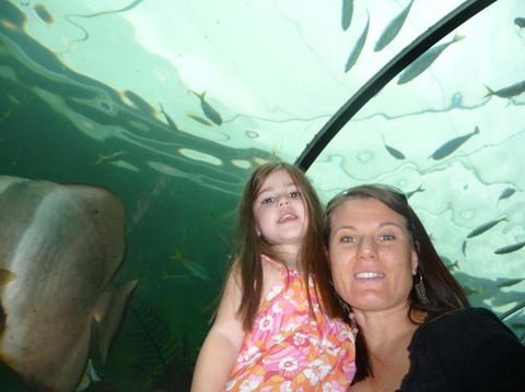 WILD LIFE Sydney Entrance Ticket - Mackay Tourism 4