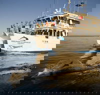 Jervis Bay Dolphin Watch Cruise - Mackay Tourism