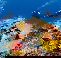 Agincourt Reef - Mackay Tourism