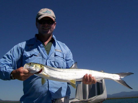 Barramundi To Trevally – A Seaforth Fishing Adventure - Mackay Tourism 2