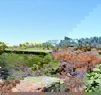 Bladensburg National Park - Mackay Tourism