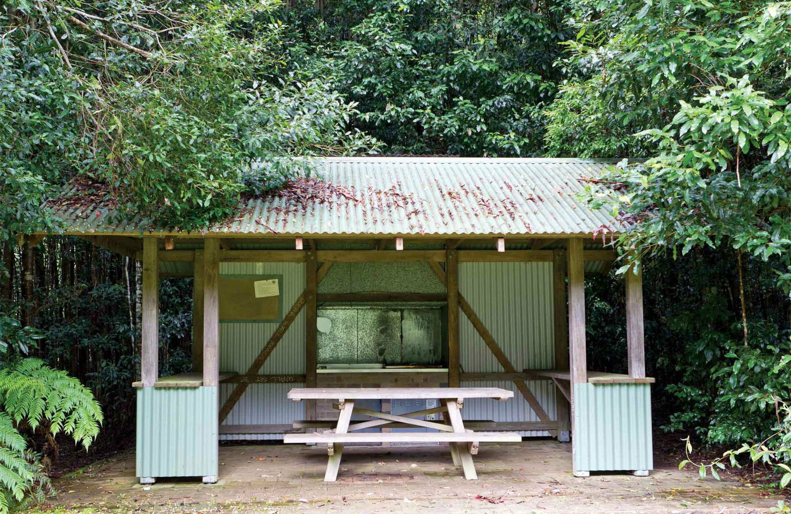 Gibraltar Range NSW Mackay Tourism