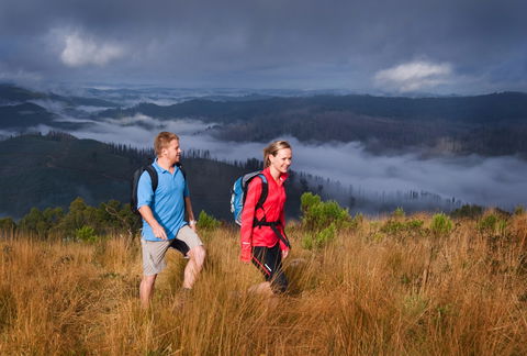 Grand Strzelecki Track - Mackay Tourism 1