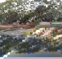 Green Corridor Walking Track - Mackay Tourism