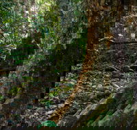 Hidden Treasure Track - Mackay Tourism