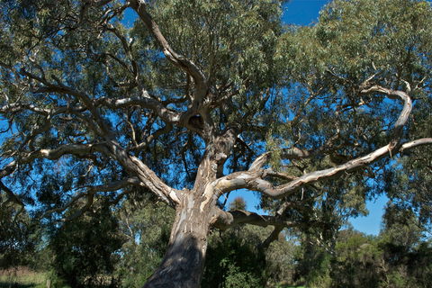 Holey Plains State Park - Mackay Tourism 0