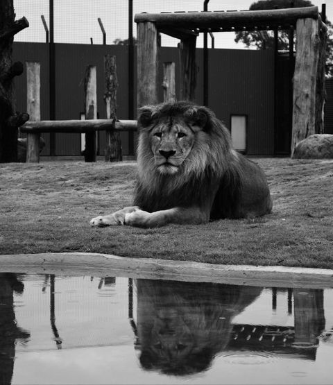 Hunter Valley Zoo - Mackay Tourism 0