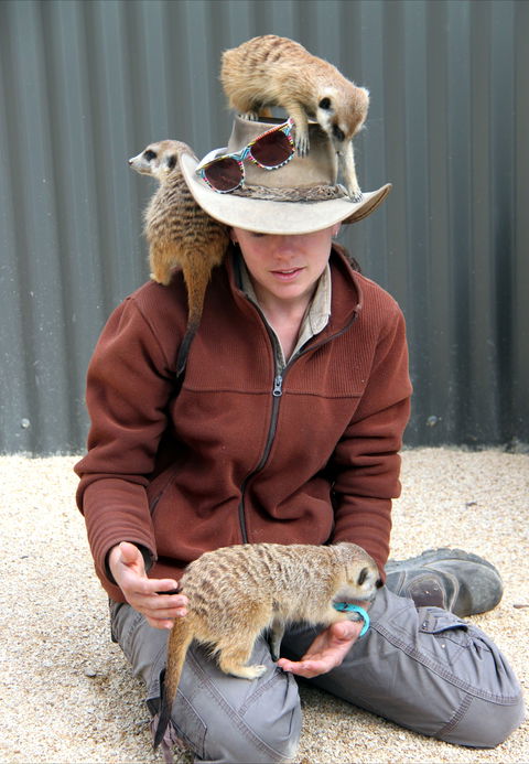 Hunter Valley Zoo - Mackay Tourism 2