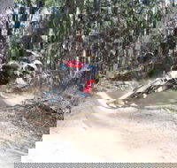 Jolly Nose Mountain Bike Park - Mackay Tourism