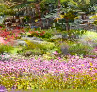 Jurassic Garden AR Experience - Mackay Tourism
