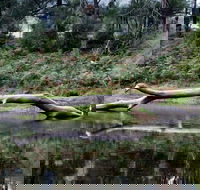 Kayaking Upper Tuross River and Bumbo Lake - Mackay Tourism