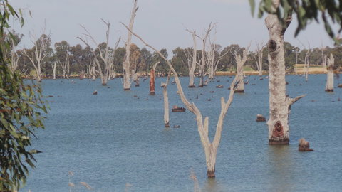 Lake Mulwala - Mackay Tourism 2