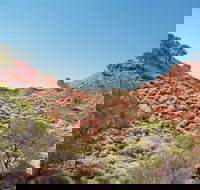 Lark Quarry Conservation Park - Mackay Tourism