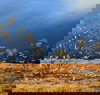 Lyn Barnes Gallery - Mackay Tourism