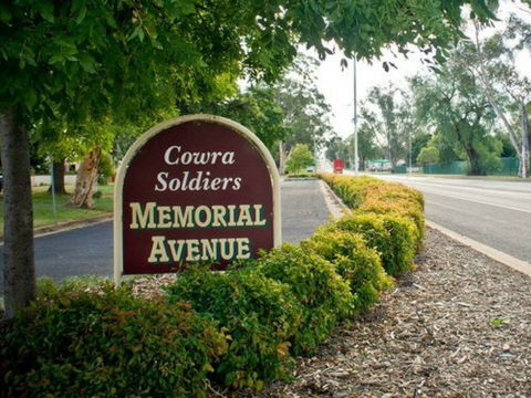 Memorial Avenue In Cowra - Mackay Tourism 0