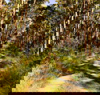 Mining Road Fire Trail Old Gibber Road Rire Trail - Mackay Tourism