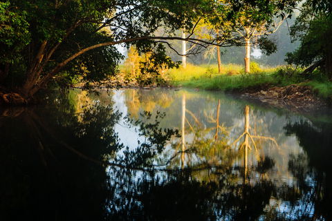 Mothar Mountain Rockpools - Mackay Tourism 2