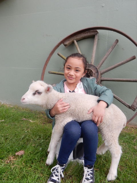 Myuna Farm - Mackay Tourism 0