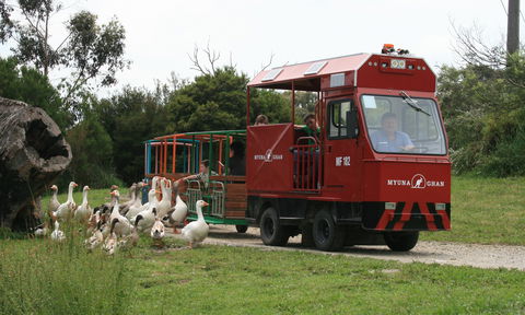 Myuna Farm - Mackay Tourism 2