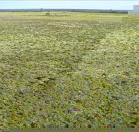 Nilla Yannagalang Billana - Mackay Tourism