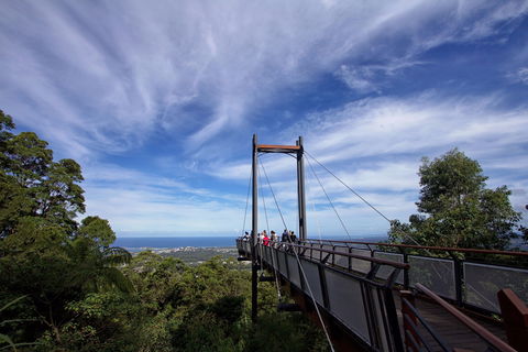Orara East State Forest - Mackay Tourism 0