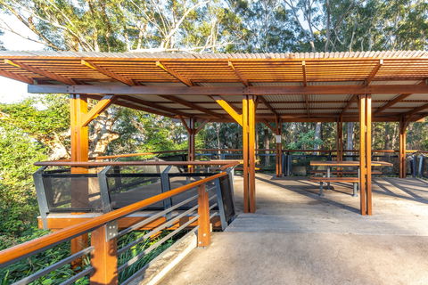 Orara East State Forest - Mackay Tourism 1