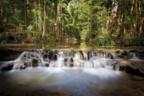 Orara East State Forest - Mackay Tourism 2