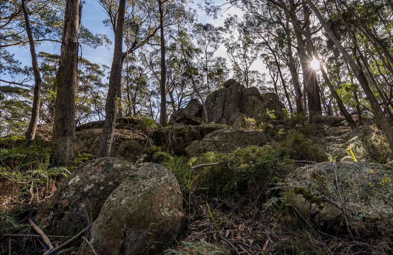 Paddys Flat NSW Mackay Tourism