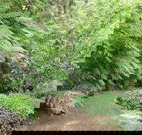Pirianda Gardens - Mackay Tourism