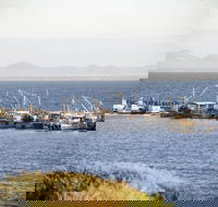 Portarlington - Mackay Tourism