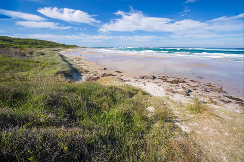 Racecourse Beach: Bawley Point - Mackay Tourism 0