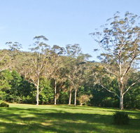 Red Cedar Flat Picnic Area - Mackay Tourism