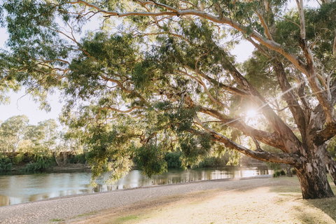Riverside:  Wagga Beach - Mackay Tourism 1