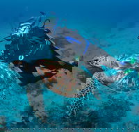 Second Reef Dive Site - Mackay Tourism