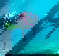 Shellharbour Scuba  and Photography Centre - Mackay Tourism